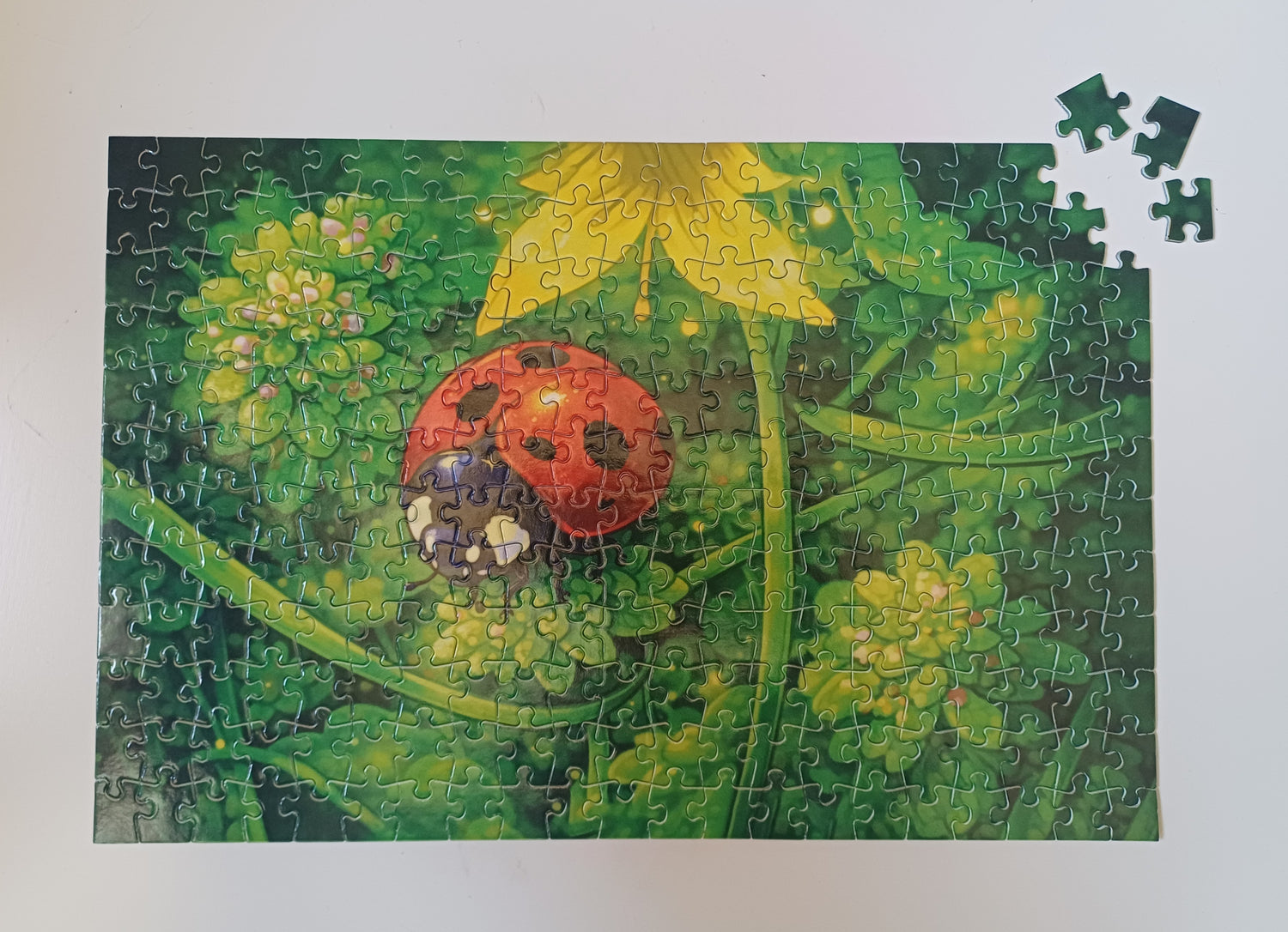 Insectes