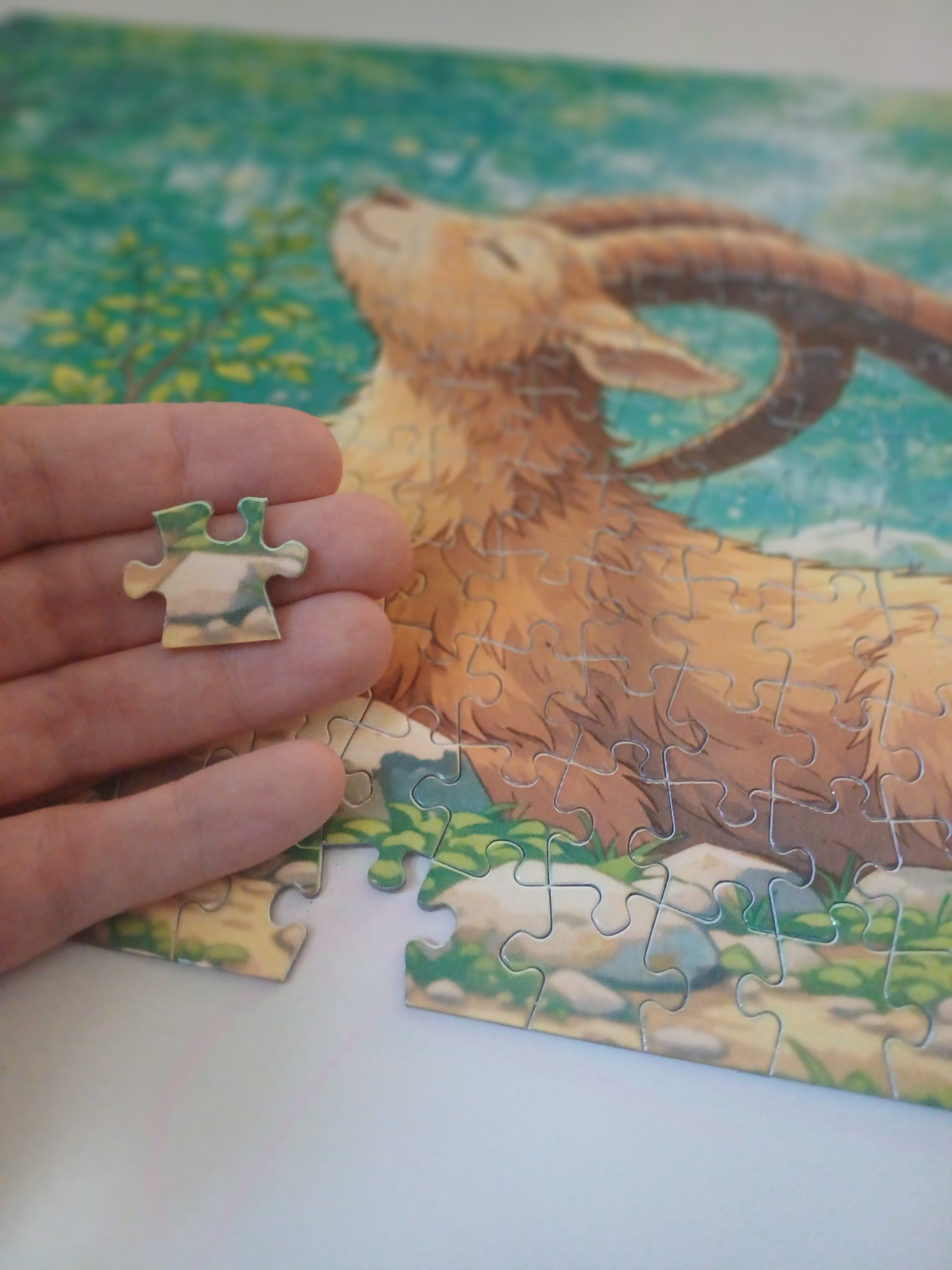 Taille d’une piece de puzzle 252 pieces , bouquetin. Puzzle nature pour enfants 