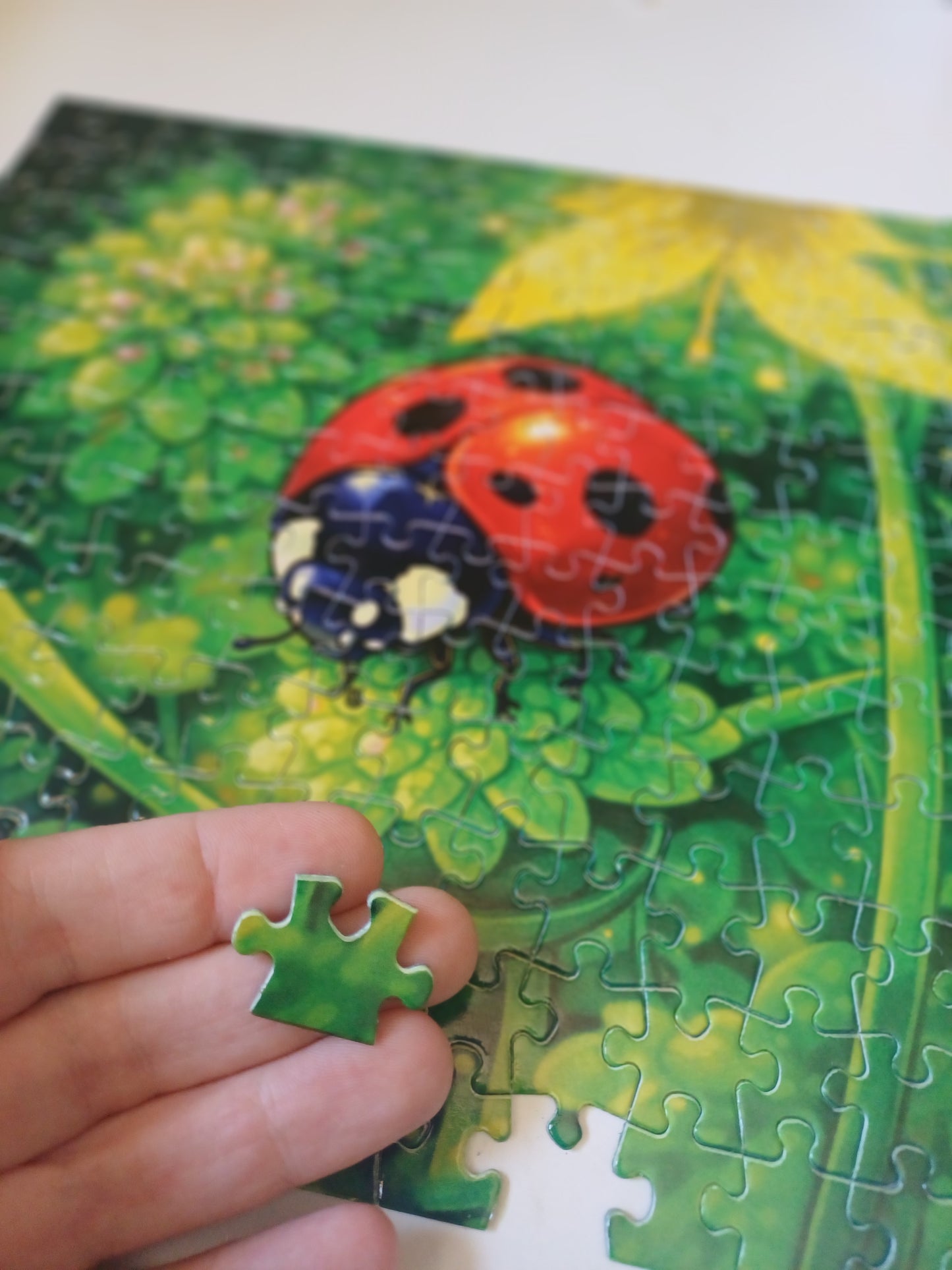 Puzzle 252 pièces - coccinelle - L’invitée à pois